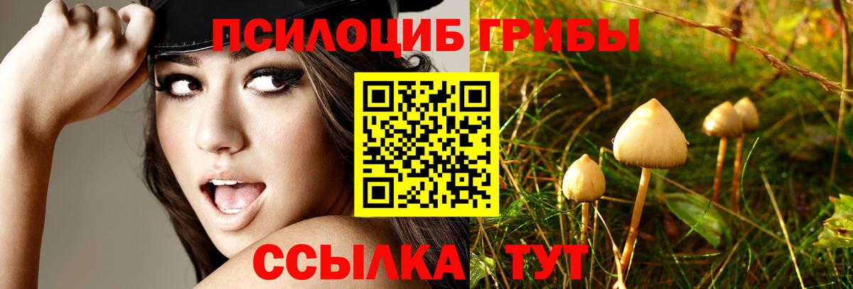 Элиста  Псилоцибиновые грибы Magic Shrooms  Вход с VPN 
